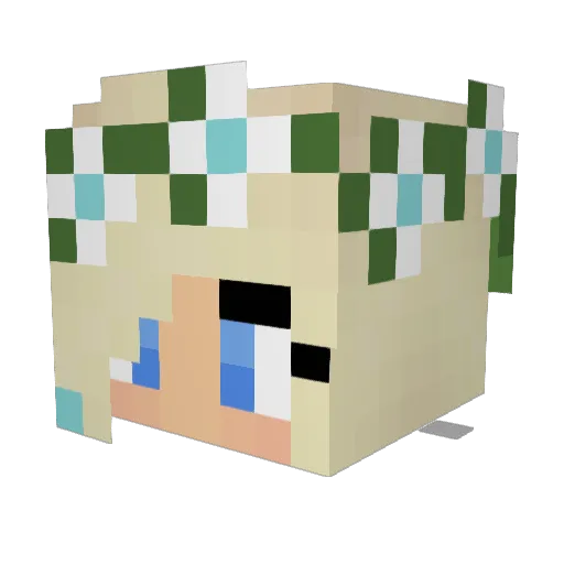 Rozzey12345 Minecraft avatar head, 3D render