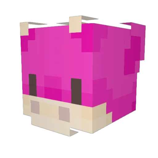 Rozzzle Minecraft avatar head, 3D render