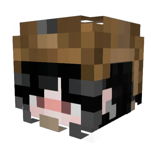 Rpalefsky Minecraft avatar head, 3D render