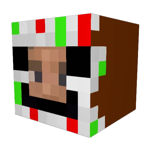 Rpole2011 Minecraft avatar head, 3D render