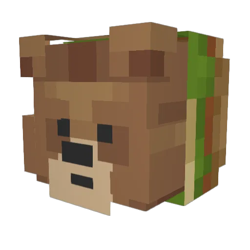 Rpotter9 Minecraft avatar head, 3D render