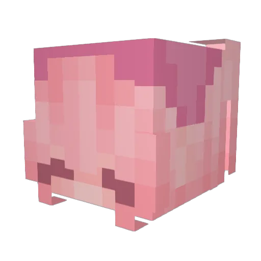 Rqyle Minecraft avatar head, 3D render