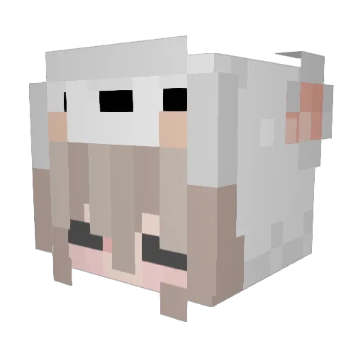 RraNO_o Minecraft avatar head, 3D render
