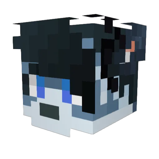 Rrage49 Minecraft avatar head, 3D render
