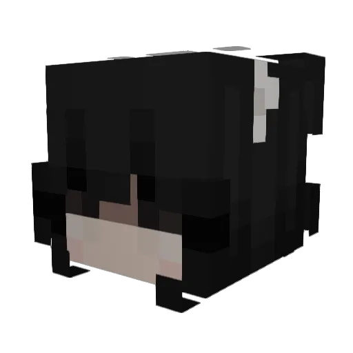 Rrenox Minecraft avatar head, 3D render