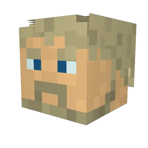 Rrrrrrrrrrr0 Minecraft avatar head, 3D render