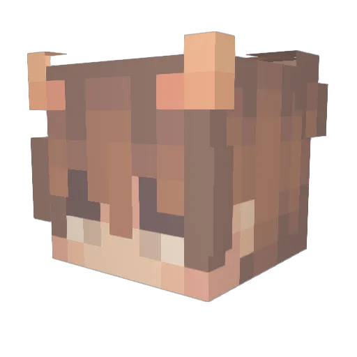 Rrules4365 Minecraft avatar head, 3D render