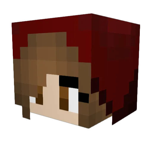 Rsb05 Minecraft avatar head, 3D render