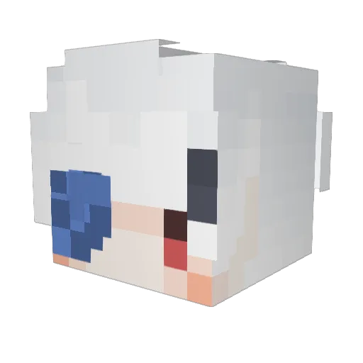 Rshow_0224 Minecraft avatar head, 3D render