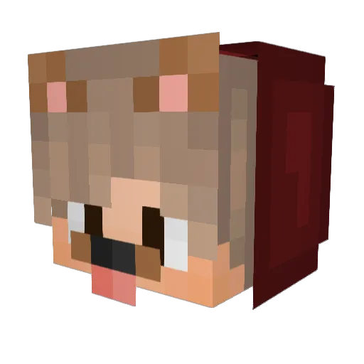 RsimonX_BB Minecraft avatar head, 3D render
