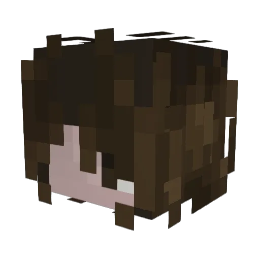 RskyyWolf Minecraft avatar head, 3D render