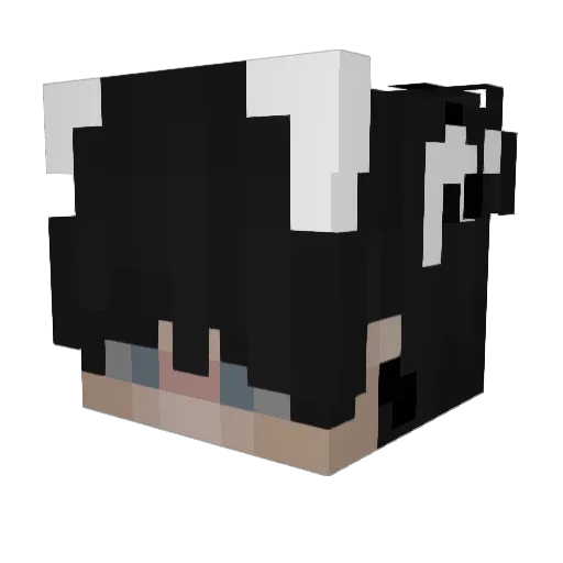 Rsracerp60 Minecraft avatar head, 3D render