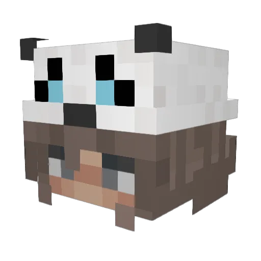 RstF_ Minecraft avatar head, 3D render