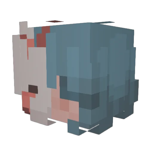 Rster21 Minecraft avatar head, 3D render