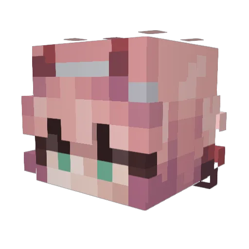 Rsyh Minecraft avatar head, 3D render