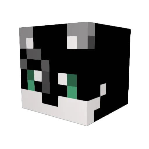 RtacgiB Minecraft avatar head, 3D render