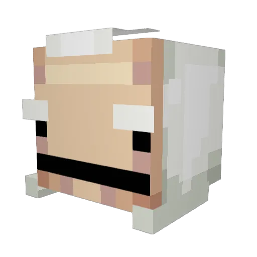 Rtrte4t Minecraft avatar head, 3D render