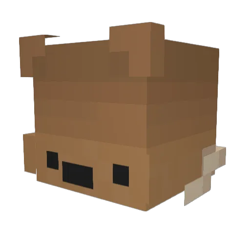 Rttlr Minecraft avatar head, 3D render
