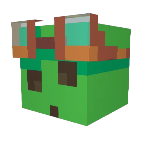 Rtyfal Minecraft avatar head, 3D render