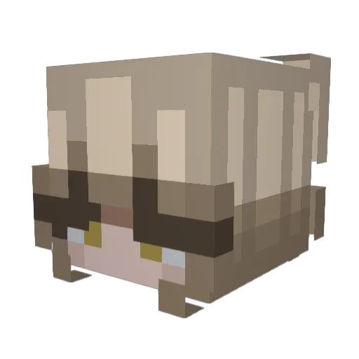 Ru44 Minecraft avatar head, 3D render