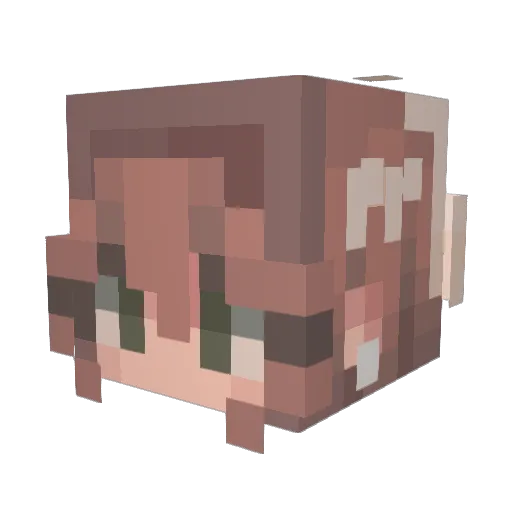 RuBeees Minecraft avatar head, 3D render