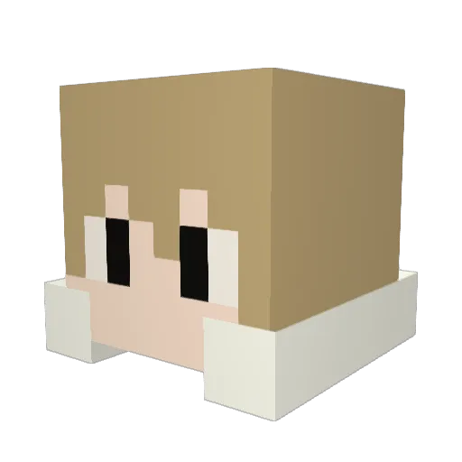 RuRp_ Minecraft avatar head, 3D render