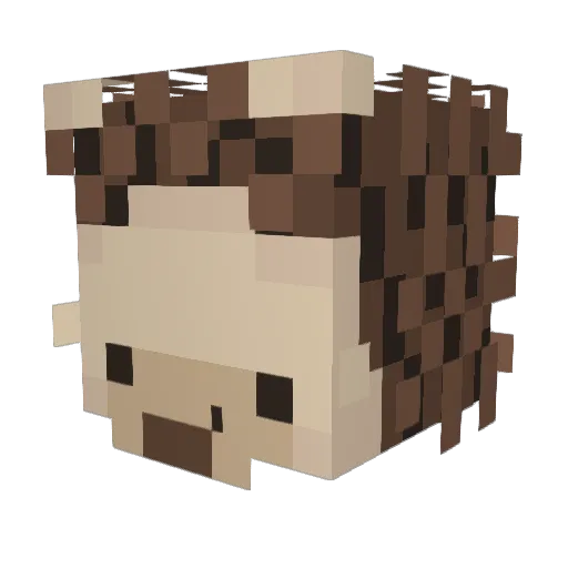 RuYe_P Minecraft avatar head, 3D render