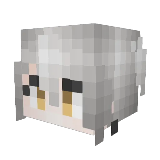 Rua_nnpln Minecraft avatar head, 3D render