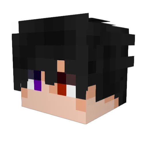 Ruaan_ Minecraft avatar head, 3D render