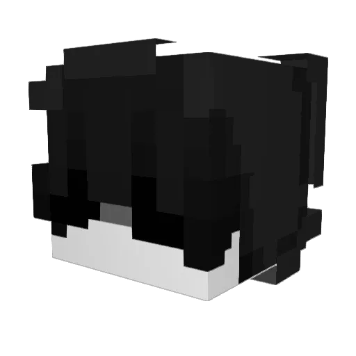 Minecraft-Avatar von RuanBenicio: Kopf als 3D-Render