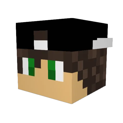RuanFx Minecraft avatar head, 3D render