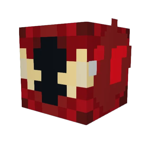 RuanSC Minecraft avatar head, 3D render