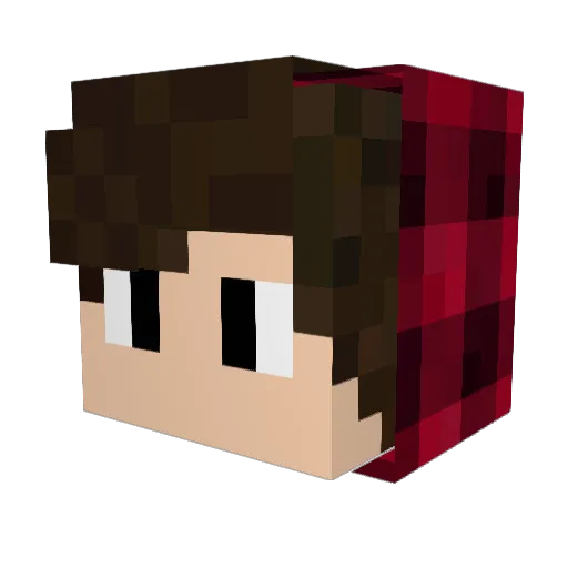 RuanT Minecraft avatar head, 3D render
