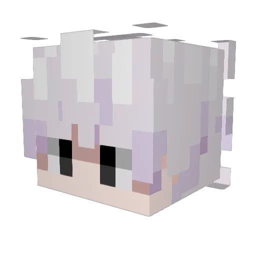 Ruanne Minecraft avatar head, 3D render