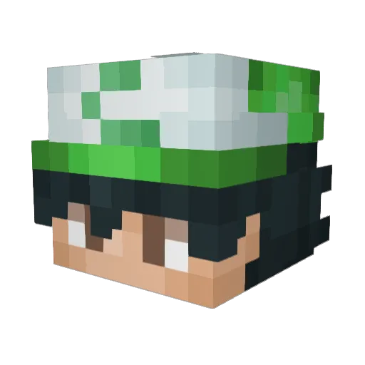 Ruannzino Minecraft avatar head, 3D render