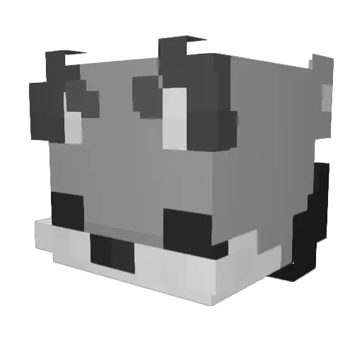Ruanzin14 Minecraft avatar head, 3D render