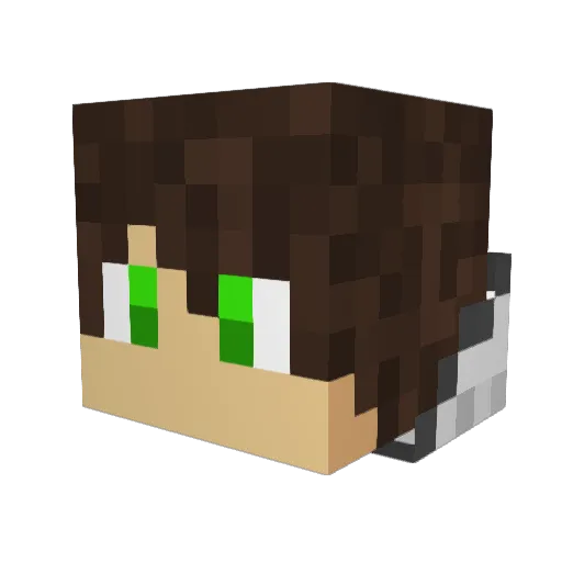 RubByFly Minecraft avatar head, 3D render