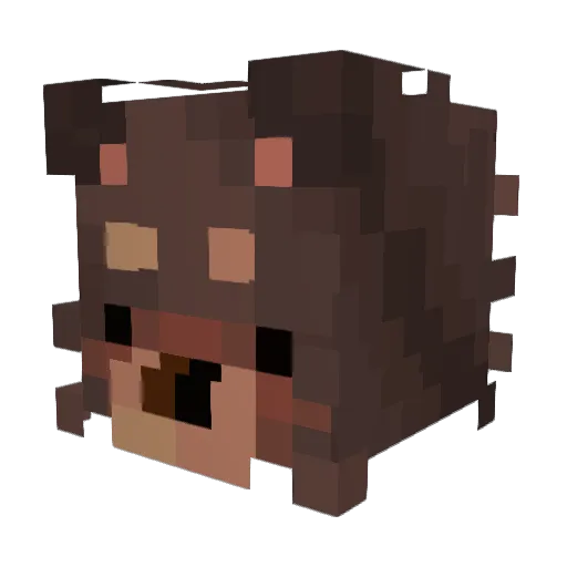 Rubaeeeee Minecraft avatar head, 3D render