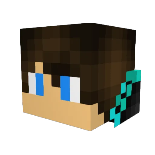 RubberDuck39 Minecraft avatar head, 3D render