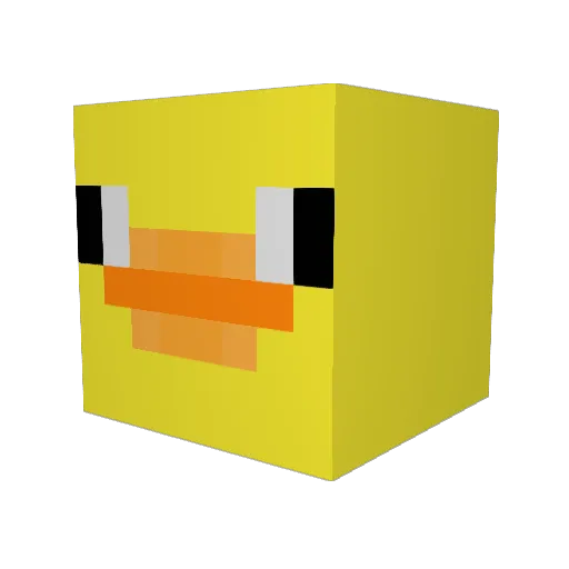 RubberDucky49 Minecraft avatar head, 3D render