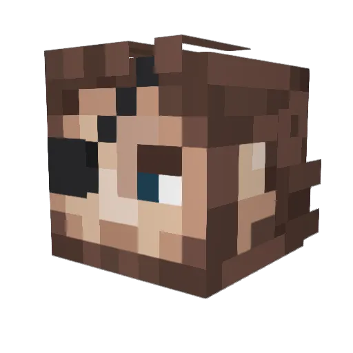 RubberRiddons Minecraft avatar head, 3D render