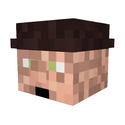 Rubberhose_ Minecraft avatar head, 3D render