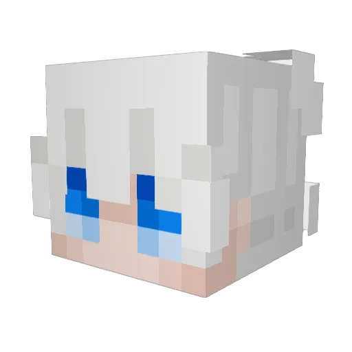 Rubberwaster Minecraft avatar head, 3D render