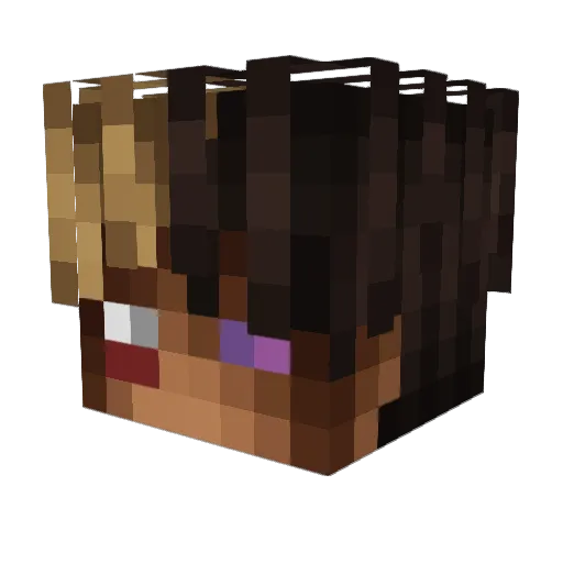 RubbinTheNahmir Minecraft avatar head, 3D render