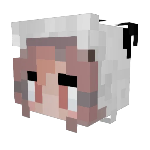 RubblePanda Minecraft avatar head, 3D render