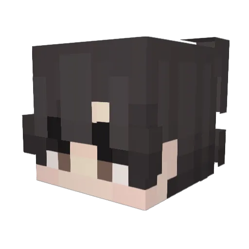 Rubelon Minecraft avatar head, 3D render