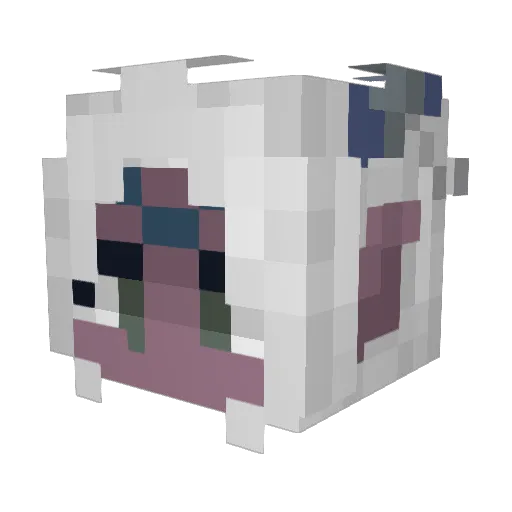 Ruben0111 Minecraft avatar head, 3D render