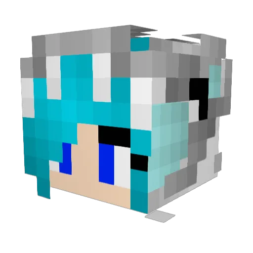 Ruben8558 Minecraft avatar head, 3D render