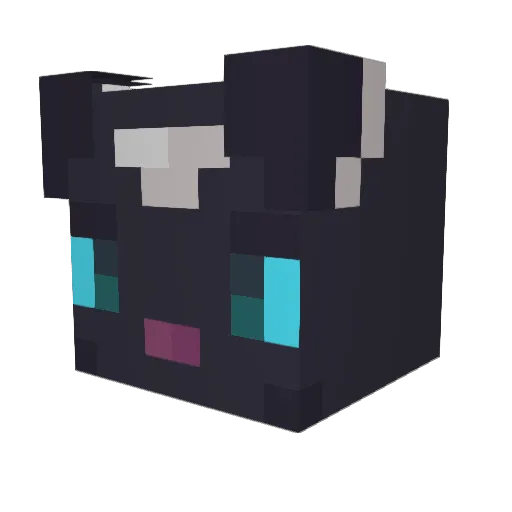 Ruben8850 Minecraft avatar head, 3D render