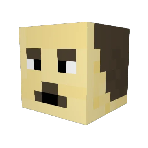 RubenLaPlancha Minecraft avatar head, 3D render